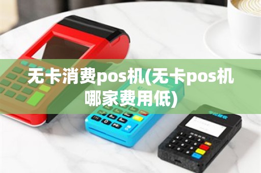 无卡消费pos机(无卡pos机哪家费用低)