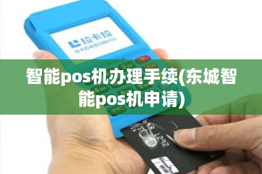 智能pos机办理手续(东城智能pos机申请)
