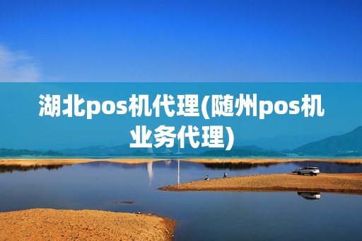 湖北pos机代理(随州pos机业务代理)