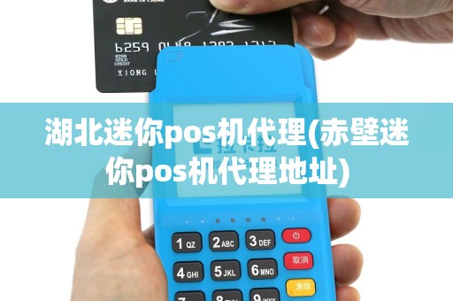 湖北迷你pos机代理(赤壁迷你pos机代理地址)