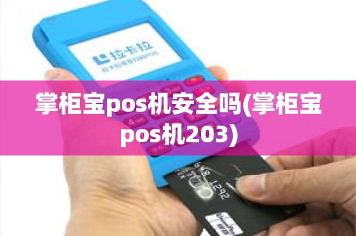 掌柜宝pos机安全吗(掌柜宝pos机203)