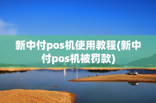 新中付pos机使用教程(新中付pos机被罚款)