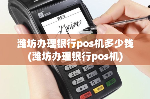 潍坊办理银行pos机多少钱(潍坊办理银行pos机)