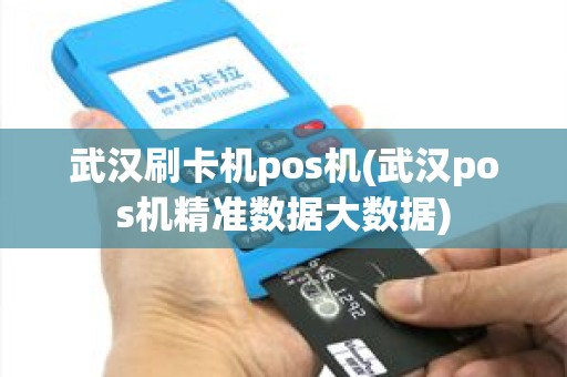 武汉刷卡机pos机(武汉pos机精准数据大数据)