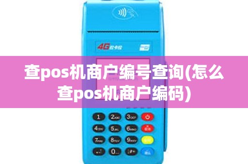 查pos机商户编号查询(怎么查pos机商户编码)