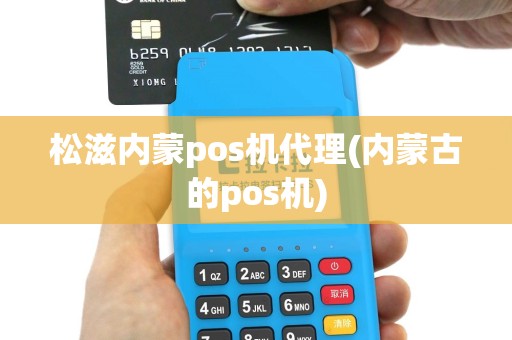 松滋内蒙pos机代理(内蒙古的pos机)