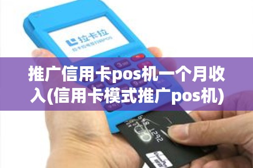 推广信用卡pos机一个月收入(信用卡模式推广pos机)