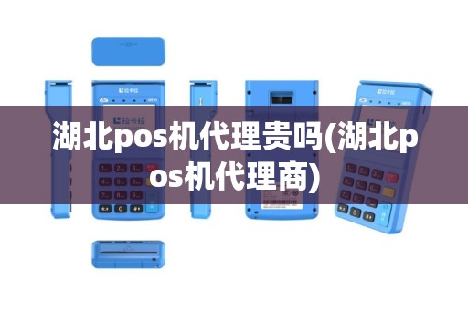 湖北pos机代理贵吗(湖北pos机代理商)