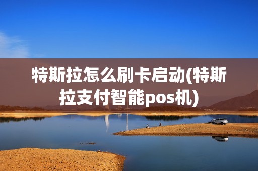 特斯拉怎么刷卡启动(特斯拉支付智能pos机)