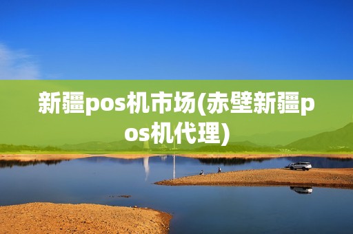 新疆pos机市场(赤壁新疆pos机代理)