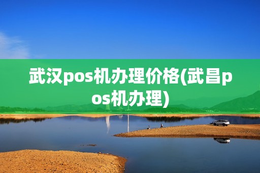 武汉pos机办理价格(武昌pos机办理)