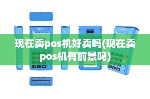 现在卖pos机好卖吗(现在卖pos机有前景吗)