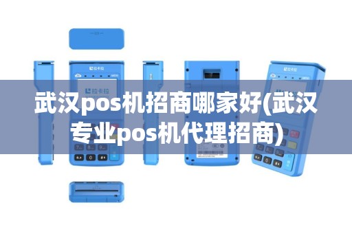 武汉pos机招商哪家好(武汉专业pos机代理招商)