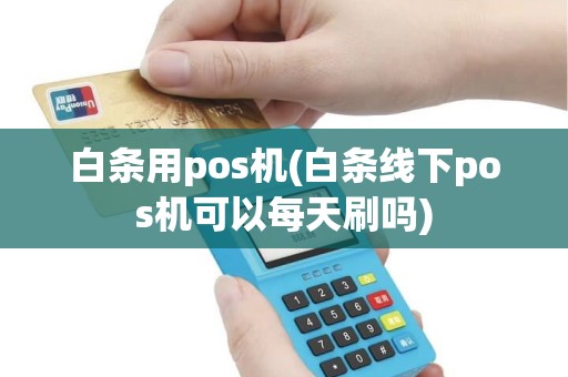 白条用pos机(白条线下pos机可以每天刷吗)