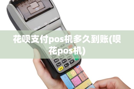 花呗支付pos机多久到账(呗花pos机)