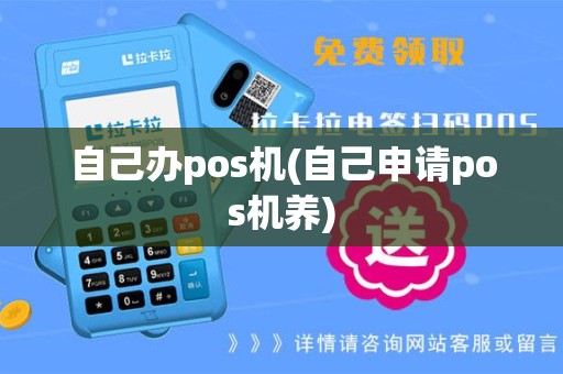 自己办pos机(自己申请pos机养)