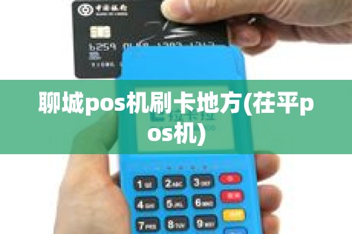 聊城pos机刷卡地方(茌平pos机)