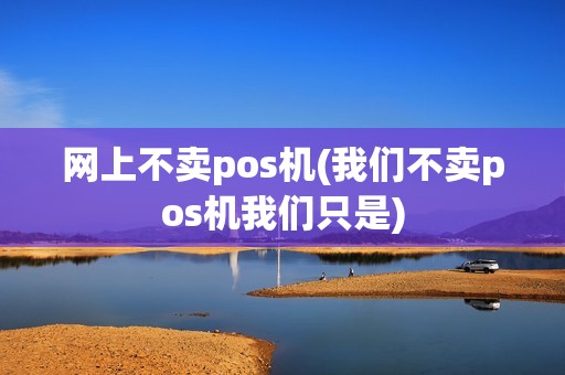 网上不卖pos机(我们不卖pos机我们只是)