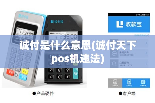 诚付是什么意思(诚付天下pos机违法)