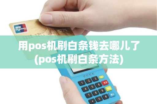 用pos机刷白条钱去哪儿了(pos机刷白条方法)
