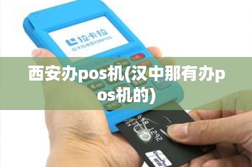 西安办pos机(汉中那有办pos机的)