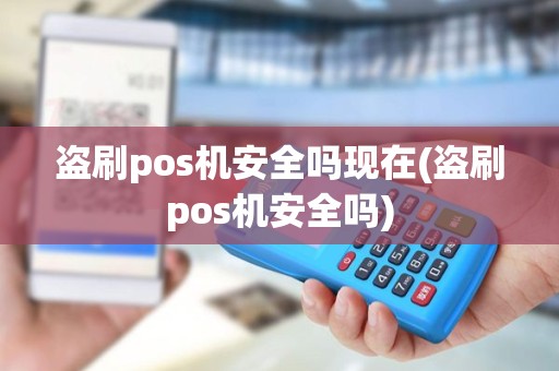 盗刷pos机安全吗现在(盗刷pos机安全吗)