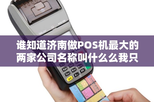 谁知道济南做POS机最大的两家公司名称叫什么么我只知...