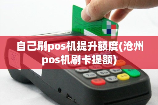 自己刷pos机提升额度(沧州pos机刷卡提额)
