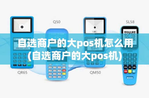 自选商户的大pos机怎么用(自选商户的大pos机)