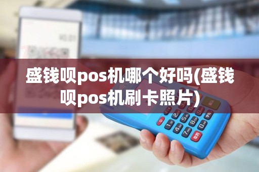盛钱呗pos机哪个好吗(盛钱呗pos机刷卡照片)