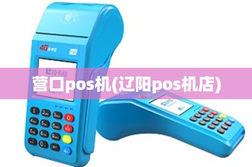 营口pos机(辽阳pos机店)