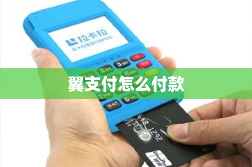 翼支付怎么付款