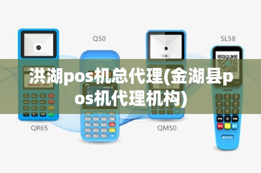 洪湖pos机总代理(金湖县pos机代理机构)