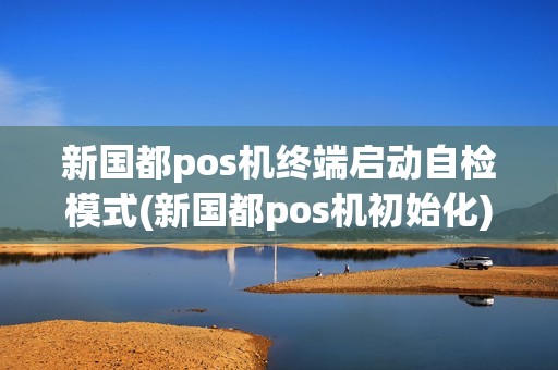 新国都pos机终端启动自检模式(新国都pos机初始化)