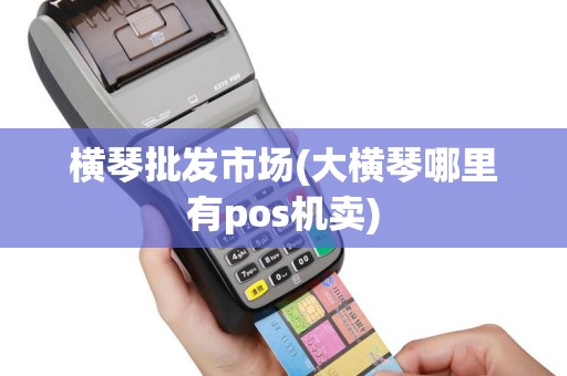横琴批发市场(大横琴哪里有pos机卖)