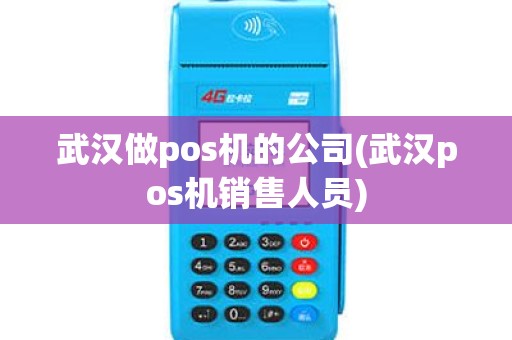 武汉做pos机的公司(武汉pos机销售人员)