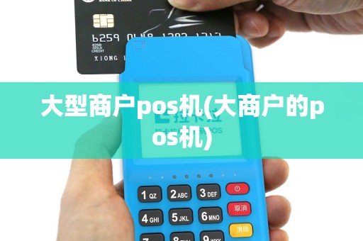 大型商户pos机(大商户的pos机)