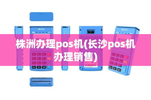 株洲办理pos机(长沙pos机办理销售)