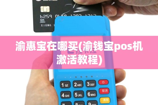 渝惠宝在哪买(渝钱宝pos机激活教程)