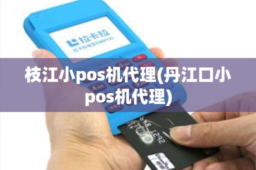 枝江小pos机代理(丹江口小pos机代理)
