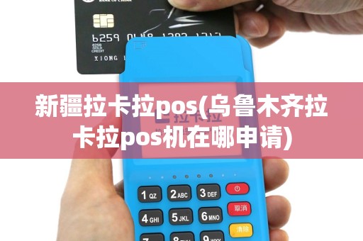 新疆拉卡拉pos(乌鲁木齐拉卡拉pos机在哪申请)