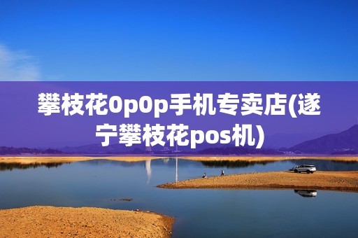 攀枝花0p0p手机专卖店(遂宁攀枝花pos机)