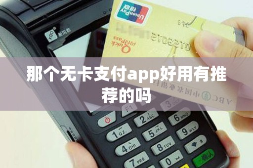 那个无卡支付app好用有推荐的吗