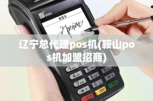 辽宁总代理pos机(鞍山pos机加盟招商)