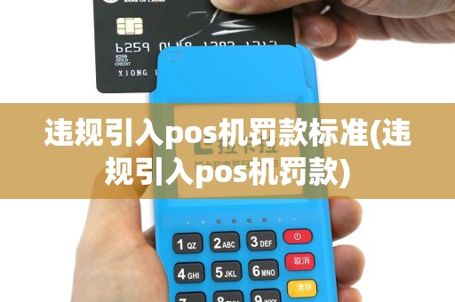 违规引入pos机罚款标准(违规引入pos机罚款)