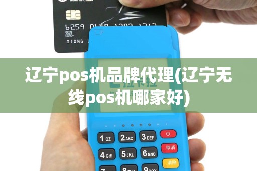 辽宁pos机品牌代理(辽宁无线pos机哪家好)