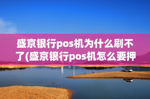 盛京银行pos机为什么刷不了(盛京银行pos机怎么要押金)