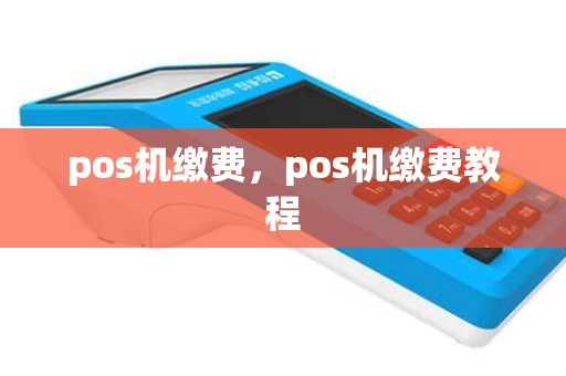 pos机缴费，pos机缴费教程