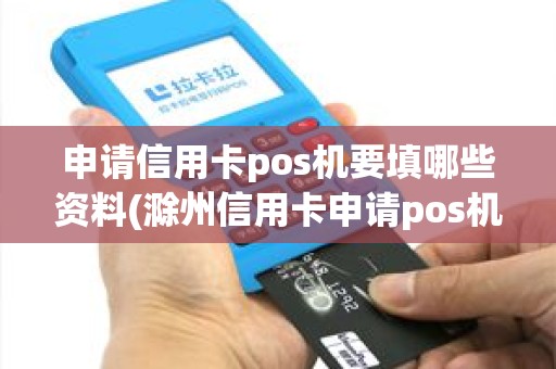 申请信用卡pos机要填哪些资料(滁州信用卡申请pos机)