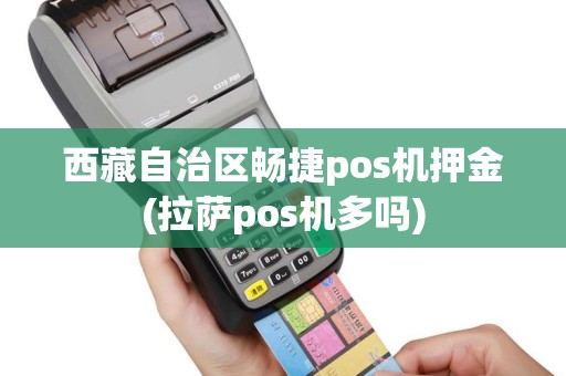 西藏自治区畅捷pos机押金(拉萨pos机多吗)